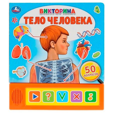 Тело человека - Викторина 5 звуковых кнопок