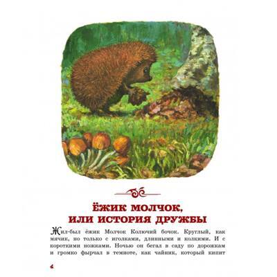 Ежик молчок  1