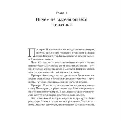 история человечесва  1